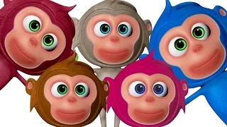 Nursery Rhymes Collection Vol 5 | Five Little Monkeys And More | Biggest Nursery Rhymes Collection