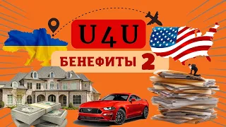 ШАГ 4. Как заполнить на Бенефиты по Ю4Ю правильно? Пошаговая инструкция. Заполняем вместе.