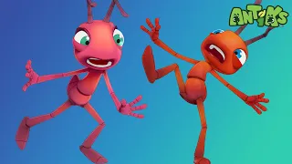 Ant Farm | 🐛 Antiks & Insectibles 🐜 | Funny Cartoons for Kids | Moonbug