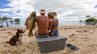 REEF ADDICTS - Coral trout catch and cook (BAO BUNS)