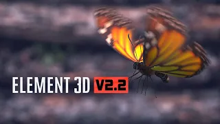 Butterfly Animation I After Effects Element 3D  tutorial I After Effect 2020 I FREE Project File