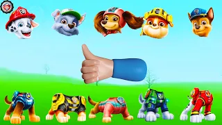 PAW Patrol | Match The Head #4 | Movie Characters | Funny Video For Kids @PawPawGo