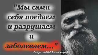 Мы сами себя "поедаем" и разрушаем и заболеваем, а всё потому что не справились.../Старец Фаддей