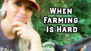 When Farming is Hard (And More Farmer Table Talk)