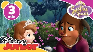 Sofia Intai - Prințesa Charlotte. Doar la Disney Junior!