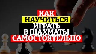 Как научиться играть в шахматы самостоятельно?