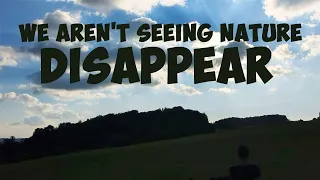 Why we aren't noticing nature disappear II Shifting Baseline Syndrome [VIDEO ESSAY]