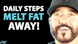 Daily NUTRITION TIPS To Burn Body Fat & REVERSE AGING | Shawn Stevenson