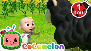 Baa Baa Black Sheep | CoComelon | Kids Songs | Moonbug Kids