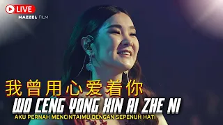 Wo Ceng Yong Xin Ai Zhe Ni《 我曾用心爱着你 》Desy Huang - 黄家美