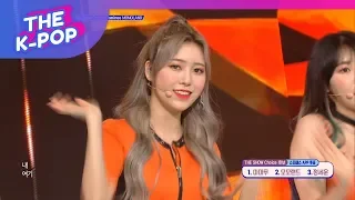 MOMOLAND, I'm So Hot [THE SHOW 190326]