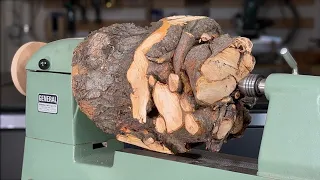 Woodturning Tangled Almond Root