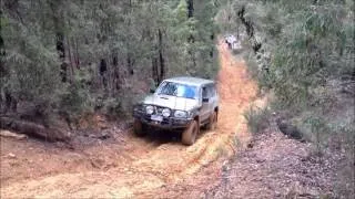 Dom nissan gu 4.2L patrol woodspoint hill climb 4wd 4x4 offroad