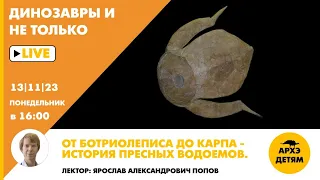 Занятие "От ботриолеписа до карпа — история пресных водоемов" кружка "Динозавры и не только"