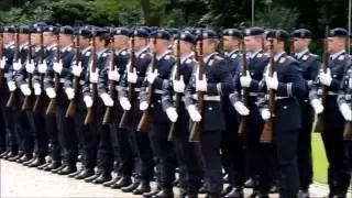 Guard Battalion and Military Honours at Bellevue Palace