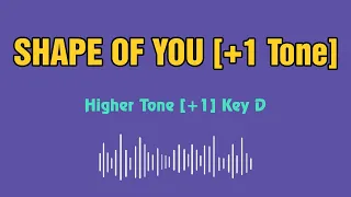 Ed Sheeran Shape of you Karaoke 12 tones _ Higher tone +1 _ Key D