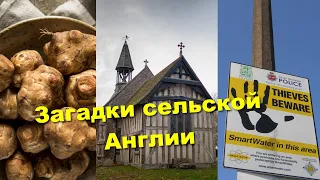 Загадки старинной церкви, воры домушники и Иерусалимские артишоки.