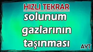 Solunum Gazlarının Taşınması - Hızlı Tekrar