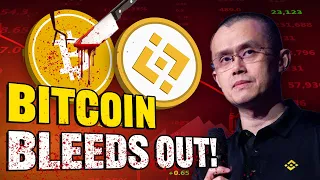 Crypto Chaos: The Wildest Week Yet! | Why Bitcoin Is Bleeding out?!