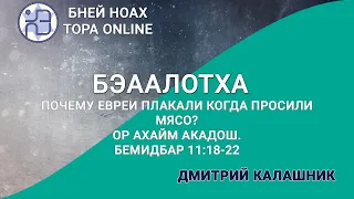 Почему евреи плакали когда просили мясо? Ор аХайм. БМДБР 11:18-22 Недельная глава Бэаалотха