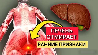 Вот ранних очевидных ПРИЗНАКОВ того, что ваша печень отмирает