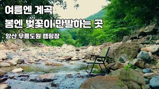 [ 캠핑장 Review ]여름엔 계곡, 봄엔 벚꽃이 만개하는 곳 / 양산 무릉도원 캠핑장