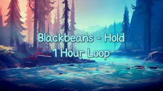 Blackbeans - Hold | 1 Hour Loop Music