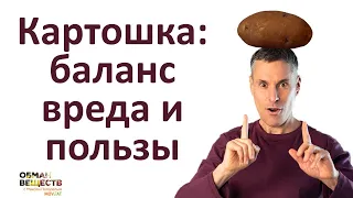 15 научных правил безопасного употребления, приготовления и хранения картошки