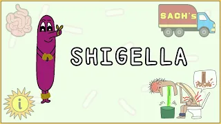 Shigella Simplified: Morphology, Pathogenesis, Types, Clinical features, Treatment