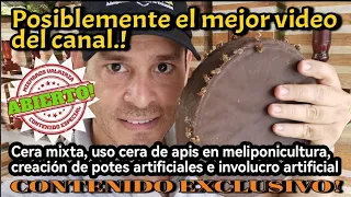 EL MEJOR VIDEO DE MELIPONICULTURA QUE HAYA GRABADO!