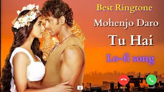 ❤️Tu hai full lofi song slowed reverb | 💕Mohenjo daro movie song |  Hrithik Roshan | Best Ringtone🎵