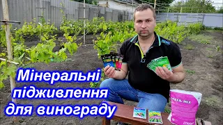 Мінеральні підживлення для винограду