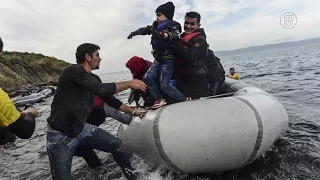 Активисты призывают обеспечить безопасность беженцам (новости)