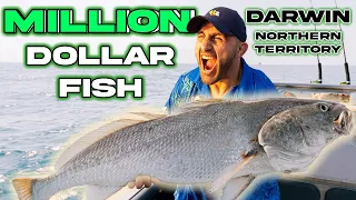 FIGHTING MONSTER FISH - Snapped Rods - Sharks Steal Fish - Alex Volkanovski Goes Fishing in Darwin