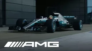 Lewis Hamilton - Performance Driven by Passion