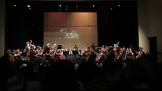 LHS Advanced Orchestra Spring 2019- Final Countdown
