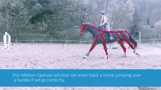 Anamo Horse Motion Capture