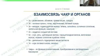 Каплина А В  2018 06 15 «Азбука работы с КФС»