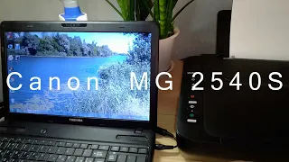 Если принтер не видео картридж. МФУ Canon Pixma MG2540S