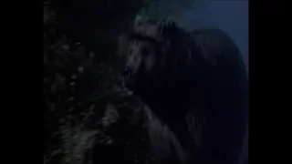 The Great Outdoors Bear Scene