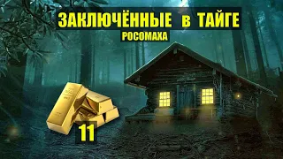 ЗОЛОТОЙ ТУПИК на ПРИИСКЕ РЕВОЛЮЦИЯ в ЛЕСУ ЗАКЛЮЧЁННЫЕ в ТАЙГЕ ДОМ в ЛЕСУ ИСТОРИИ из ЖИЗНИ СЕРИАЛ 11