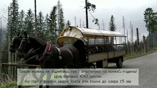 Морське Око🌥️Ціни.Як доїхати від Закопаного.Польща 🇵🇱Morskie Oko.Poland. Zakopane. Vlog 20.05.2023