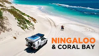 NINGALOO REEF, AUSTRALIA - Better than GREAT BARRIER? Road Trip CORAL BAY