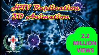 HIV Replication 3D Medical Animation