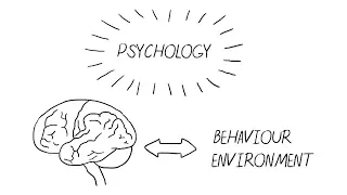 5 Things to Know Before Taking Psychology Courses