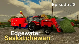 Edgewater Sask | Custom TMR Mixture | Harvesting Lentils | Timelapse | Farming Simulator 22