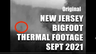 BIGFOOT IN NEW JERSEY?  9/2021 NEW VIDEO