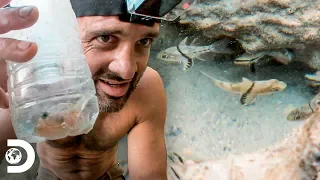 Ed aprovecha la basura para pescar | Desolado con Ed Stafford | Discovery Latinoamérica