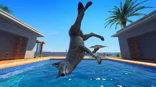 GTA 5 Epic Ragdolls/Coyote Funny Compilation (GTA5, Euphoria Physics, Funny Moments)