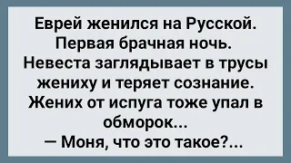 Невеста Заглянула Жениху в Трусы и Упала в Обморок! Сборник Свежих Анекдотов! Юмор!